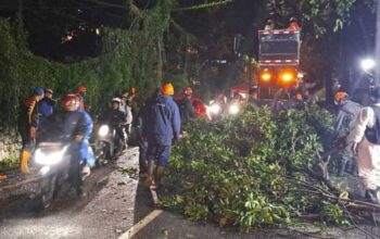 Diterjang Angin Kencang, Kota Batu Dilanda Pohon Tumbang di Sejumlah Wilayah